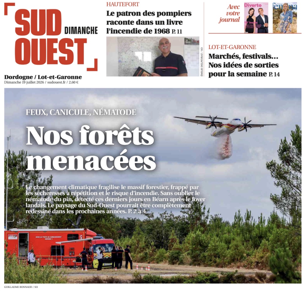 Incendies de forêt