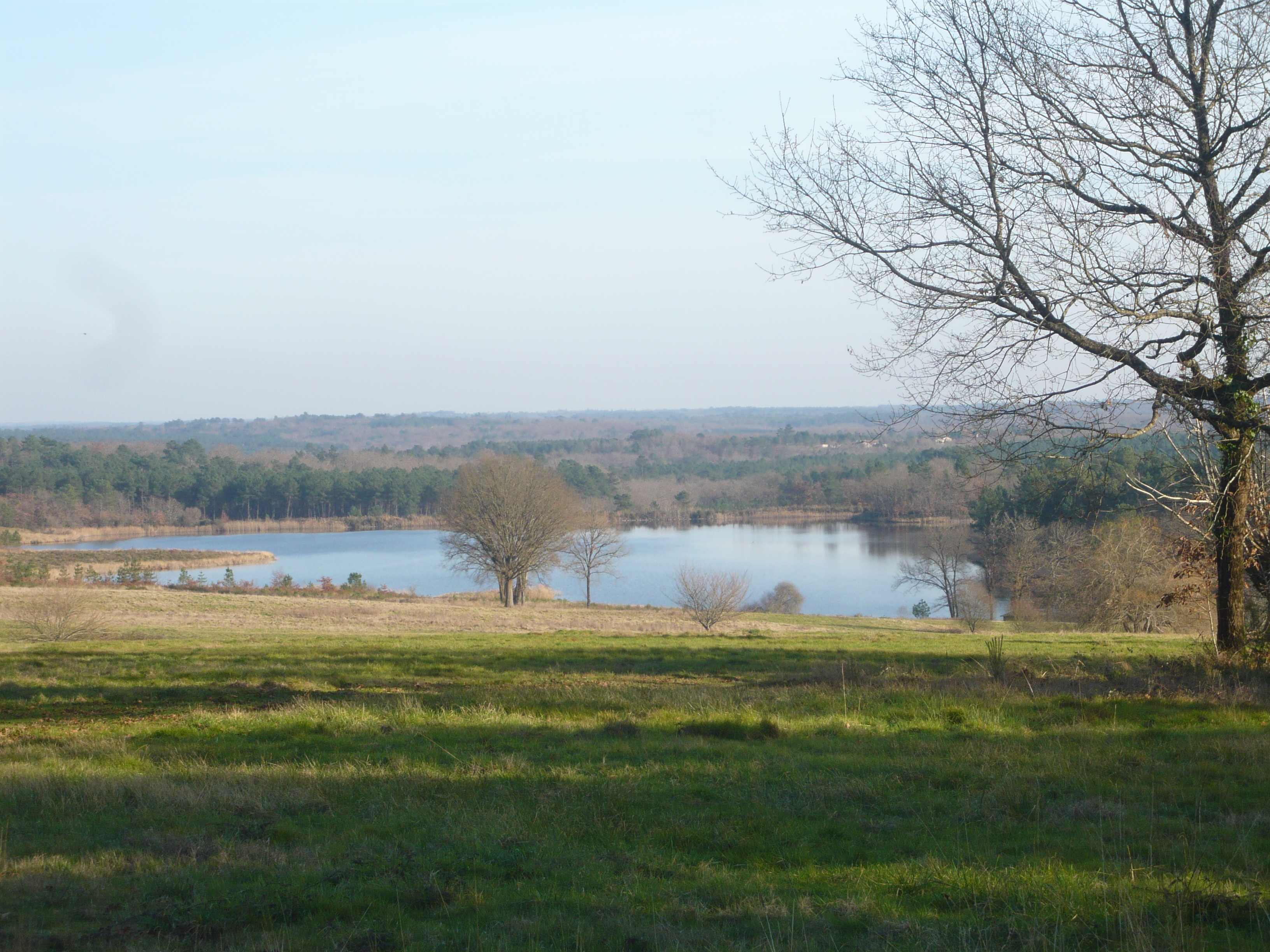 Nous refusons les éoliennes dans la forêt de la Double